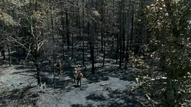 The Walking Dead ล่าสยองทัพผีดิบ ปี6 EP06