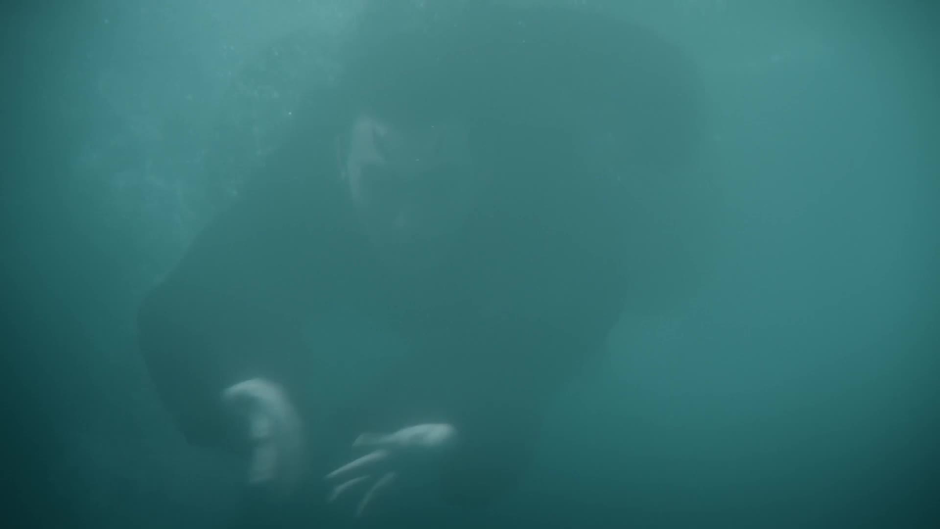 Eternal Love (三生三世十里桃花) สามชาติสามภพ ป่าท้อสิบหลื่ ปี1 EP40