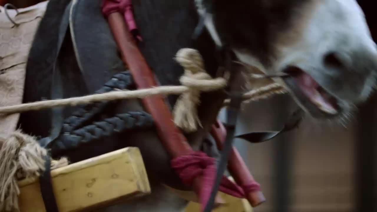 The Legend of Zhuohua ขุนนางหญิงยอดเสน่หา ปี1 EP01