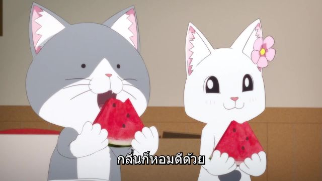 Ramen Akaneko ราเม็งอากาเนโกะ ซับไทย EP07